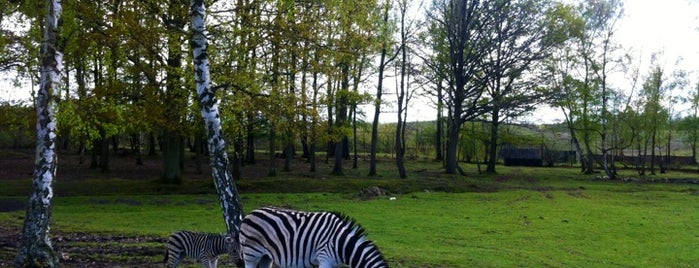 Parc zoologique de Thoiry is one of #Env000.