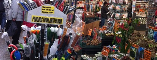 Flower Market is one of Must-visit Plazas in Amsterdam.