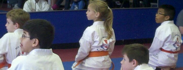 All American Karate Academy is one of Home.