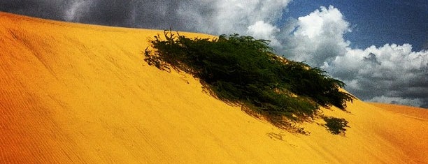 Parque Nacional Médanos de Coro is one of Parques Nacionales de Venezuela.