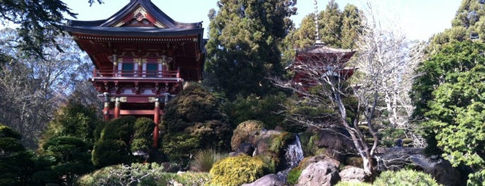 Japanese Tea Garden is one of Best spots of sunny SanFrancisco, CA!.
