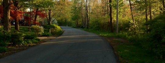 Lake Lincolndale is one of Hudson Valley Water Fun.