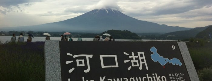 Lake Kawaguchi-ko is one of Family trip for summer vacation in 2016.