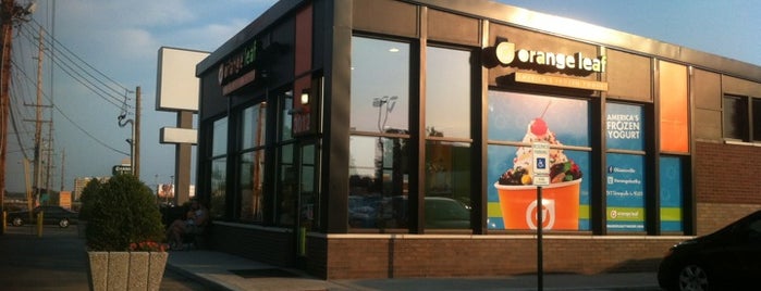 Orange Leaf is one of Best Places to Get Ice Cream.