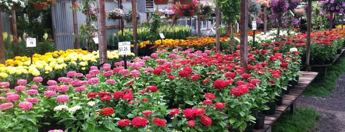 Half Moon Bay Nursery is one of Chrisさんのお気に入りスポット.