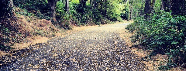 Ft. Steilacoom Park is one of Posti che sono piaciuti a Heather.