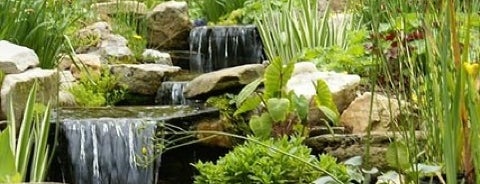 Ladew Topiary Gardens is one of Maryland Activities Bucket.