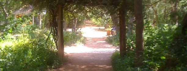 Zilker Botanical Gardens is one of Austin Outdoors.