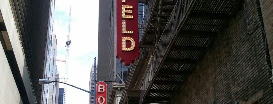Gerald Schoenfeld Theatre is one of Music, Theater & Film.