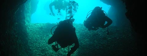 Diver Mali Losinj is one of Top 10 places to try this season.