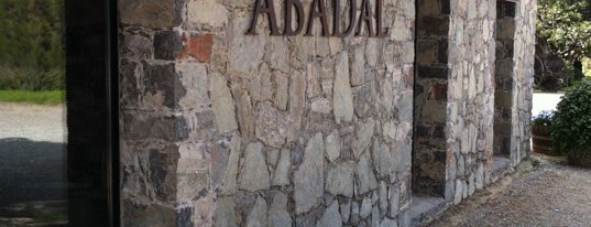 Bodegas Abadal is one of Cellers i bodegues.