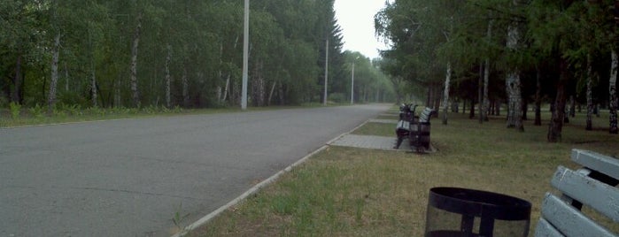 Остановка "Парк Победы" is one of Bus stops in Omsk.
