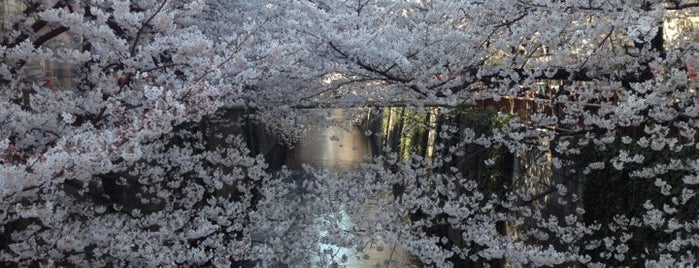 Meguro River Cherry Trees is one of 東京花見スポット.