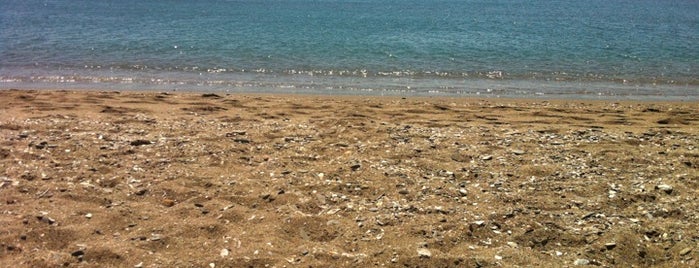 La Malagueta Beach is one of Playas de España: Andalucía.