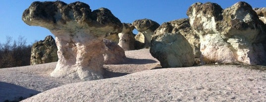 Каменните гъби is one of SOF+.