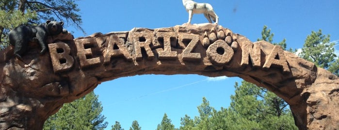Bearizona is one of Arizona.