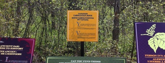 Carolinian Forest Resource Consultants is one of Hiking.