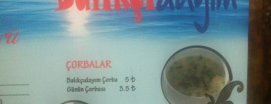 BalıkçıDayım is one of TUNGAERALPさんのお気に入りスポット.