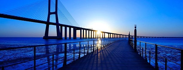 Ponte Vasco da Gama is one of Posti che sono piaciuti a 高井.