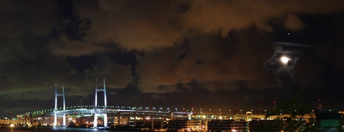 Minato-no-mieru-oka Park is one of 日本夜景遺産.