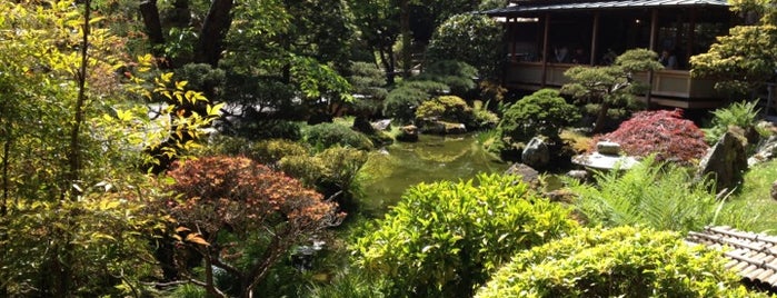 Japanese Tea Garden is one of Favorite spots to visit in San Francisco.