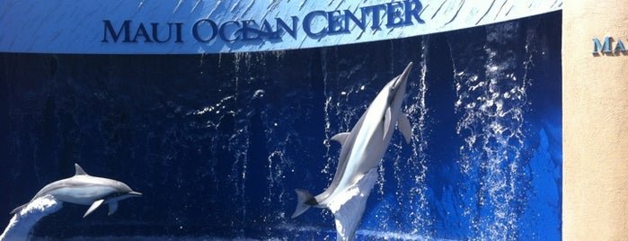 Maui Ocean Center, The Hawaiian Aquarium is one of Maui places to check out.