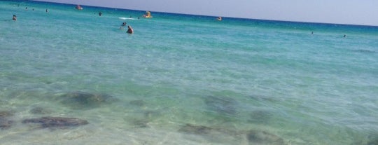 Grecian Bay Beach is one of Cyprus.