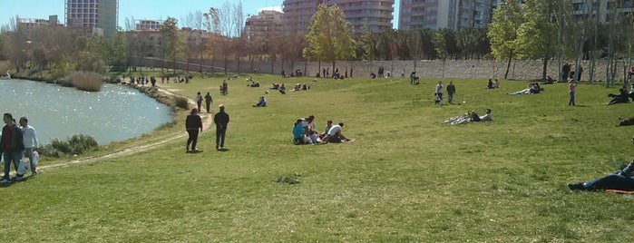 Parc de Capçalera / Parque Cabecera is one of Turismo en Valencia / tourism in Valencia.