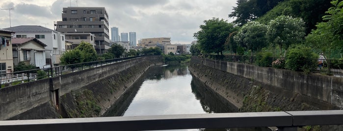 日吉橋 is one of 中原区、高津区.