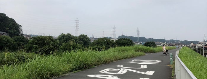 鶴見川 河口から10.0km is one of req2_2015.