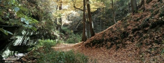 Wildcat Den State Park is one of Lugares favoritos de Tracy.