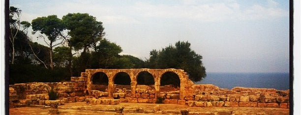 Ruines Romaines de Tipaza is one of UNESCO World Heritage Sites.