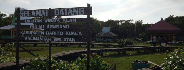 Hutan wisata alam pulau kembang is one of banjarmasin.