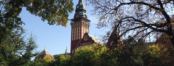 Rathaus is one of Cultural Monuments in Subotica.