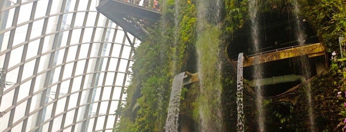 Cloud Forest is one of Natur Punkt.