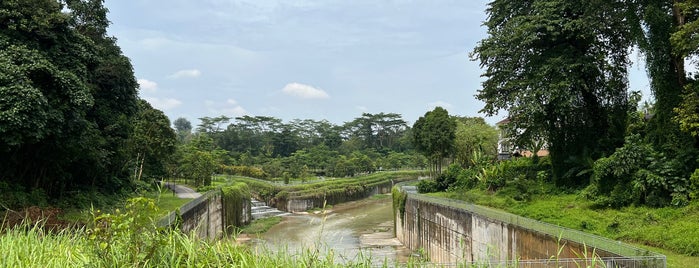 Bukit Timah First Diversion Canal is one of Singapore.