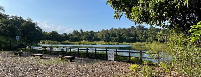 Pekan Quarry is one of Micheenli Guide: Places to bird-watch in Singapore.