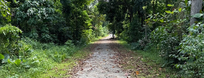 The Rail Corridor | Northern Terminus is one of Trek Across Singapore.