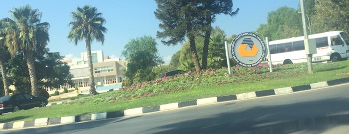 Eastern Mediterranean University is one of Serkan Yeni.