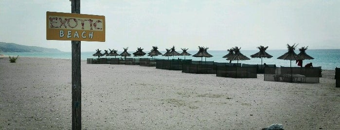 Exotic Beach is one of Locais curtidos por Tessa.
