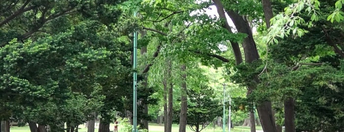 Maruyama Park is one of 札幌の公園45.