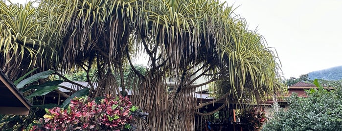 Hotel El Silencio del Campo is one of La Fortuna and Arenal, Costa Rica.