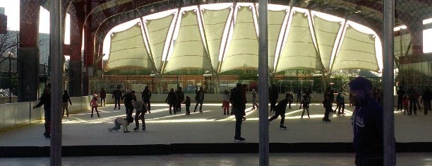 Ice Rink At Riverbank State Park is one of Various places I've been.