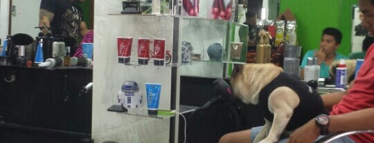 Gaston Manzanero Hair Studio is one of Tempat yang Disukai Quique.