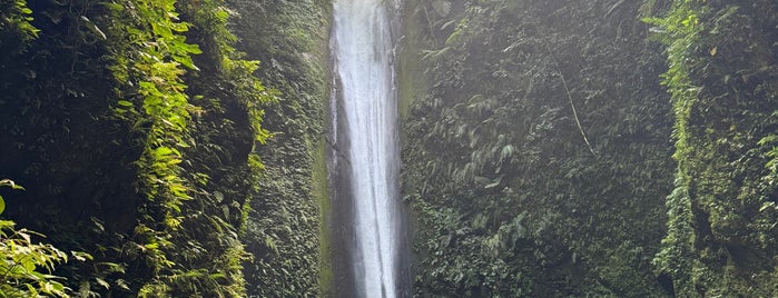 Casaroro Falls is one of Negros Oriental 2013.