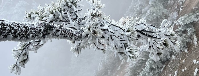 Mount Huangshan is one of Tempat yang Disukai Guilherme.