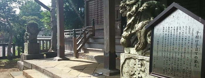 神奈川西部の神社