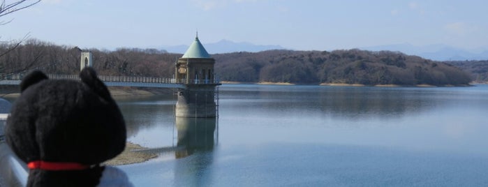Yamaguchi Reservoir (Sayama Lake) is one of Toys!.