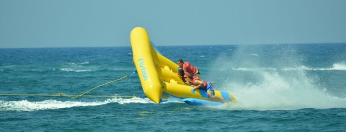 Dolphin Water Sports is one of Things-to-do in Malia, Greece.