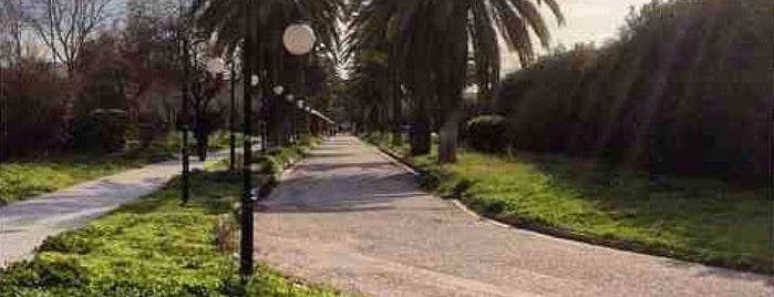 Agricultural University of Athens is one of outdoors!.